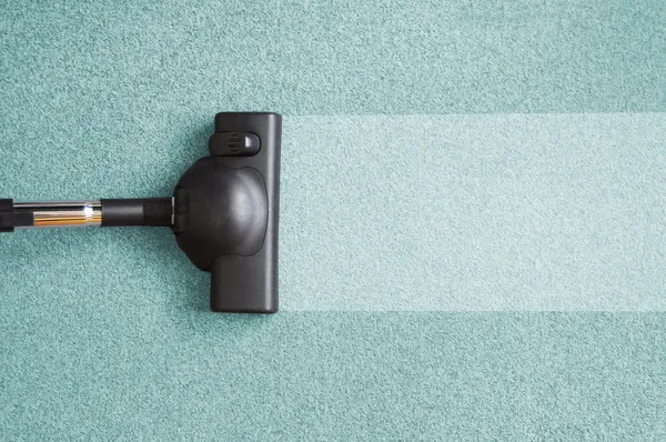 Malden Carpet Care professionals in action, modern living room